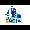 IT SERVICES